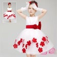Programikonen: Designer Frocks Designs 2…