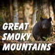 程序图标：Great Smoky National Park…