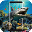Programikonen: 3D Shark in the Live Wall…