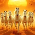 Icon of program: Horse Wallpaper 4K - HD