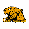 程序图标：Cheetah-Pinjaman Cepat