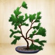 Icoon van programma: Make a Bonsai