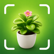 Programikonen: Verda AI: Plant Identifie…