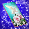 Icoon van programma: Dove Romantic Live Wallpa…