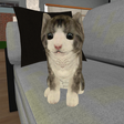 プログラムのアイコン：Kitty Cat Simulator