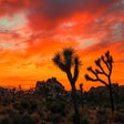 Programikonen: Sunset Wallpaper HD & Vid…