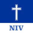 Programikonen: New International Version