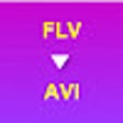 Icon of program: FLV to AVI Converter