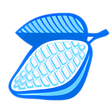 Icon of program: Cacaoweb