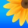 Programikonen: Pip Camera PIC IN PIC EDI…