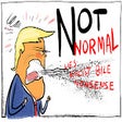 프로그램 아이콘: Not Normal