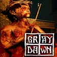 Programikonen: Gray Dawn