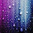 Rain Wallpaper (4k)