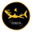 Programın simgesi: Terus Technology