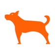 رمز البرنامج: Moto Watchdog