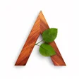 プログラムのアイコン：Airswop