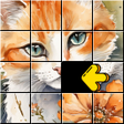 ไอคอนของโปรแกรม: JigSwap Puzzle: Jigsort H…