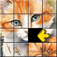 Icono de programa: JigSwap Puzzle: Jigsort H…