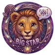 프로그램 아이콘: Big Star Voice Chat Room