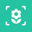 Ícone do programa: iplant - Plant identifier