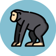Icoon van programma: MailChimp Campaigns