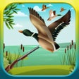 Icoon van programma: Duck Hunting 3D: Fowl Hun…