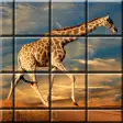 Picture puzzle games mind games
