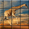 ไอคอนของโปรแกรม: Picture puzzle games mind…