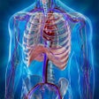 프로그램 아이콘: Human Anatomy Position