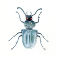 Иконка программы: Insect Identification
