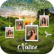 Nature Photo Frame  Collage