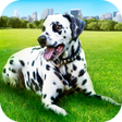 プログラムのアイコン：Dalmatian Dog Pet Life Si…