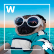 Programikonen: 1000 words
