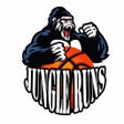 Ícone do programa: The Jungle Runs