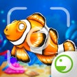 程序图标：Fishy Ola - Fish Paparazz…