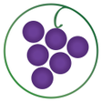 プログラムのアイコン：Wines Til Sold Out  (WTSO…