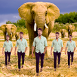 Programikonen: Echo Animal Effect : echo…