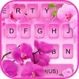 Lovely Pink Orchid Flowers Key