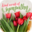 程序图标：Condolences  Sympathy Wis…