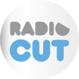 Icône du programme : RadioCut Draft version 20…
