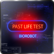 Programikonen: PAST LIFE TEST - PRANK