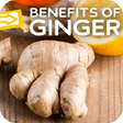 Programikonen: Uses & Benefits of Ginger…