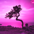 Ikona programu: Sky Live Wallpapers