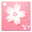 お花見ナビ～みんなでつくる桜百景～ Yahoo! JAPAN