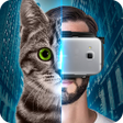 プログラムのアイコン：VR Helmet House of Cat Ey…