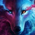 程序图标:Animal Wallpaper Black Wo…