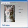 Programın simgesi: Flickr Viewr