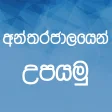 Online E Business Lanka