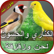 أيقونة البرنامج: صوت الكناري والحسون بدون …