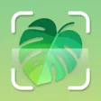 Иконка программы: Plant ID: Plant Identific…